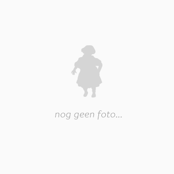 nog geen foto2